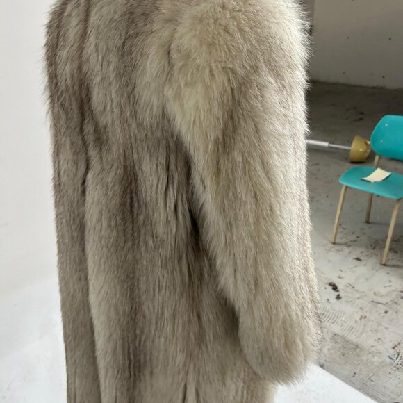 Norwegian fox, A1 color, was 7995 now 1795 - Picture 2 of 4